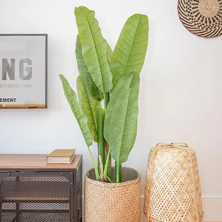 Liiiving In - Flores Design Experience 公寓 波尔图